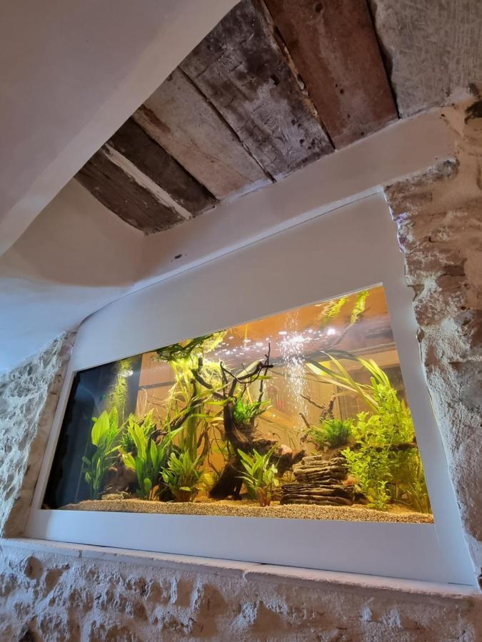 Maison Au Centre Du Village De Gordes Avec Vue Incroyable Exterior foto